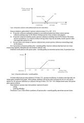 Valiutų rizikos valdymas. Opcionai 16 puslapis