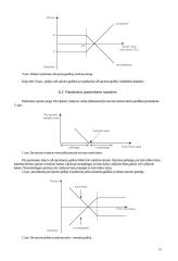 Valiutų rizikos valdymas. Opcionai 18 puslapis