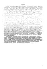 Valiutų rizikos valdymas. Opcionai 3 puslapis