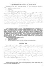 Valiutų rizikos valdymas. Opcionai 4 puslapis