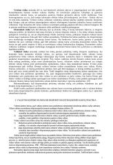 Valiutų rizikos valdymas. Opcionai 5 puslapis