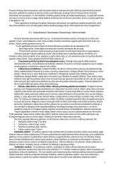 Valiutų rizikos valdymas. Opcionai 8 puslapis