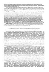 Valiutų rizikos valdymas. Opcionai 9 puslapis