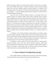 Valstybės skolinimosi galimybės tarptautinėje rinkoje 11 puslapis