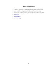 Valstybės skolinimosi galimybės tarptautinėje rinkoje 20 puslapis