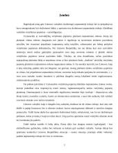 Valstybės skolinimosi galimybės tarptautinėje rinkoje 3 puslapis