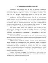 Valstybės skolinimosi galimybės tarptautinėje rinkoje 5 puslapis