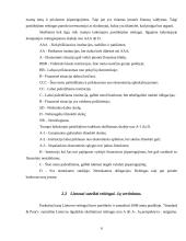 Valstybės skolinimosi galimybės tarptautinėje rinkoje 7 puslapis