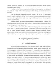 Valstybės skolinimosi galimybės tarptautinėje rinkoje 8 puslapis