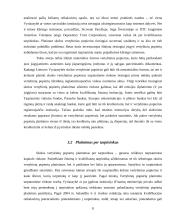 Valstybės skolinimosi galimybės tarptautinėje rinkoje 9 puslapis