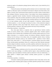 Valstybės skolinimosi galimybės tarptautinėje rinkoje 10 puslapis