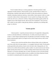 Valstybės vaidmuo teikiant viešąsias gėrybes 2 puslapis