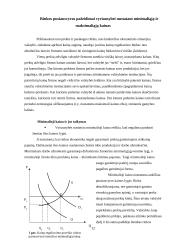 Valstybės vaidmuo teikiant viešąsias gėrybes 12 puslapis