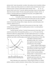 Valstybės vaidmuo teikiant viešąsias gėrybes 13 puslapis