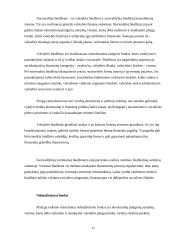 Valstybės vaidmuo teikiant viešąsias gėrybes 17 puslapis