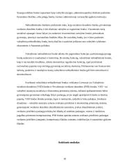 Valstybės vaidmuo teikiant viešąsias gėrybes 18 puslapis