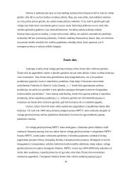 Valstybės vaidmuo teikiant viešąsias gėrybes 19 puslapis