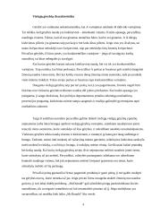 Valstybės vaidmuo teikiant viešąsias gėrybes 4 puslapis