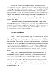 Valstybės vaidmuo teikiant viešąsias gėrybes 5 puslapis