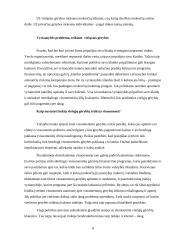 Valstybės vaidmuo teikiant viešąsias gėrybes 6 puslapis