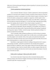 Valstybės vaidmuo teikiant viešąsias gėrybes 7 puslapis