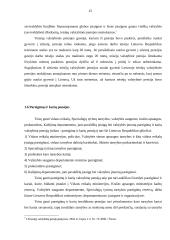 Valstybinės pensijos 13 puslapis