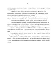 Valstybinės pensijos 19 puslapis