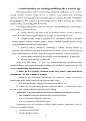 Valstybinis socialinis draudimas ir jo biudžetas 13 puslapis