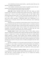 Valstybinis socialinis draudimas ir jo biudžetas 16 puslapis