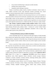 Valstybinis socialinis draudimas ir jo biudžetas 17 puslapis