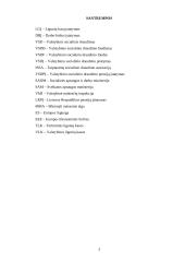 Valstybinis socialinis draudimas ir jo biudžetas 2 puslapis