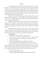 Valstybinis socialinis draudimas ir jo biudžetas 3 puslapis