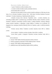 Valstybinis socialinis draudimas ir jo biudžetas 4 puslapis