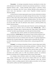 Veiklos scenarijus sudarymas: alkoholinių gėrimų gamintoja AB "Alita" 8 puslapis