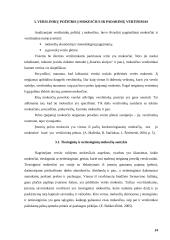 Verslas ir mokesčiai: megztų ir nertų rūbų gamyba UAB "Aringa" 14 puslapis