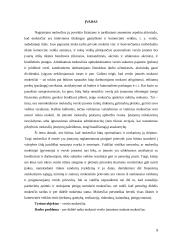 Verslas ir mokesčiai: megztų ir nertų rūbų gamyba UAB "Aringa" 5 puslapis