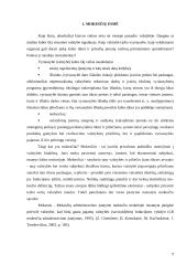 Verslas ir mokesčiai: megztų ir nertų rūbų gamyba UAB "Aringa" 7 puslapis