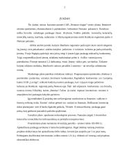 Verslo  planas: kelionių organizatorius UAB "Nemuno vingiai" 2 puslapis