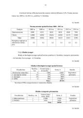 Verslo  planas: kelionių organizatorius UAB "Nemuno vingiai" 12 puslapis