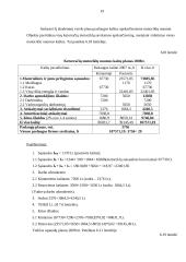 Verslo  planas: kelionių organizatorius UAB "Nemuno vingiai" 19 puslapis