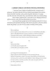 Verslo  planas: kelionių organizatorius UAB "Nemuno vingiai" 4 puslapis