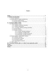 Verslo aplinkos analizė: viešbutis "Vecekrug" 2 puslapis