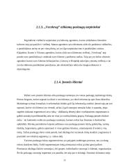 Verslo aplinkos analizė: viešbutis "Vecekrug" 11 puslapis