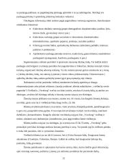 Verslo aplinkos analizė: viešbutis "Vecekrug" 12 puslapis