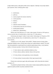 Verslo aplinkos analizė: viešbutis "Vecekrug" 15 puslapis