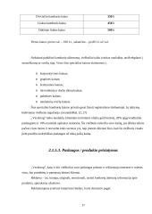 Verslo aplinkos analizė: viešbutis "Vecekrug" 17 puslapis