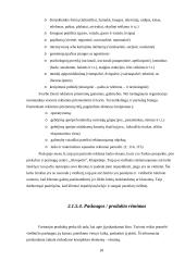 Verslo aplinkos analizė: viešbutis "Vecekrug" 18 puslapis