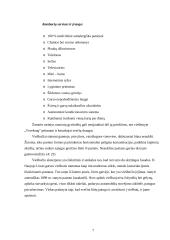 Verslo aplinkos analizė: viešbutis "Vecekrug" 7 puslapis