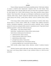 Verslo finansų valdymo sistema 2 puslapis