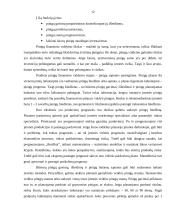 Verslo finansų valdymo sistema 11 puslapis